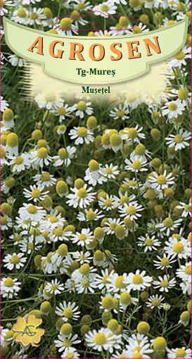 Mușețel