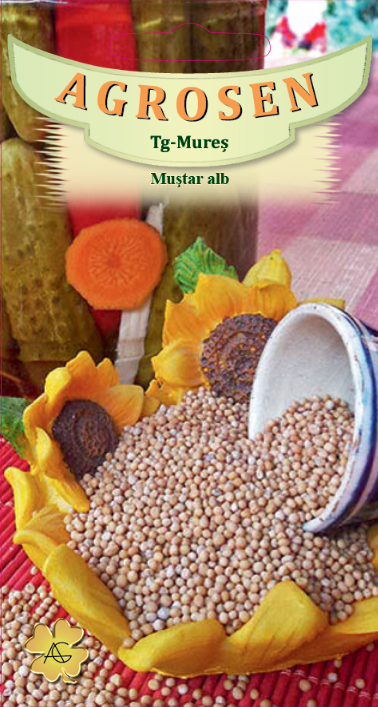 Muștar alb