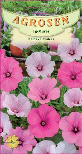 Nalbă - lavatera