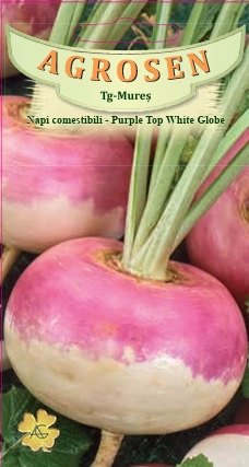 Napi comestibili - Purple Top White Globe