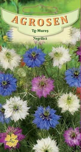 Negrilică