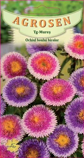 Ochiul boului - bicolor