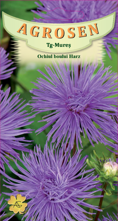 Ochiul boului Harz Albastru