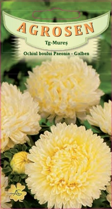 Ochiul boului Paeonia Galben 