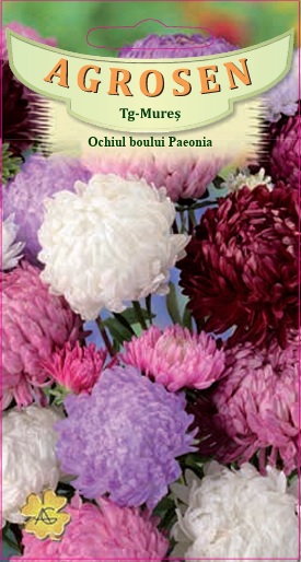 Ochiul boului Paeonia - mix