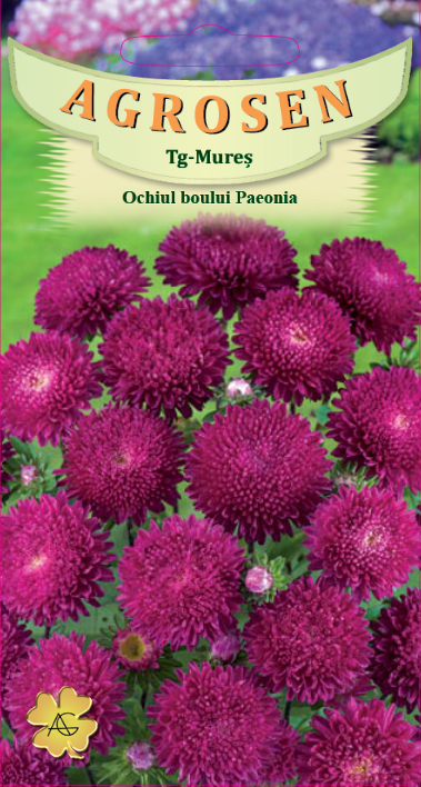 Ochiul boului Paeonia Roșu