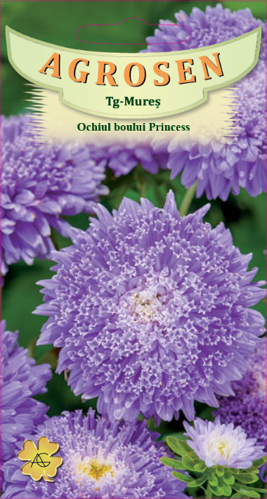 Ochiul Boului Princess Albastru