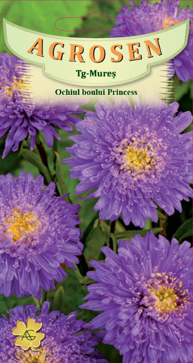 Ochiul Boului Princess Mov