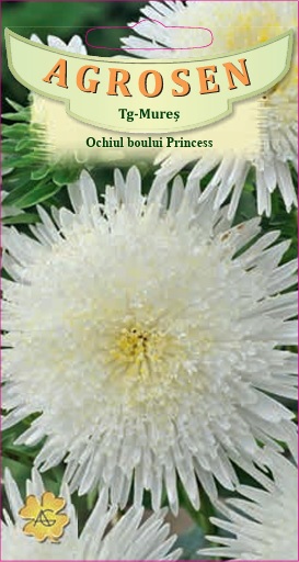 Ochiul Boului Princess Alb