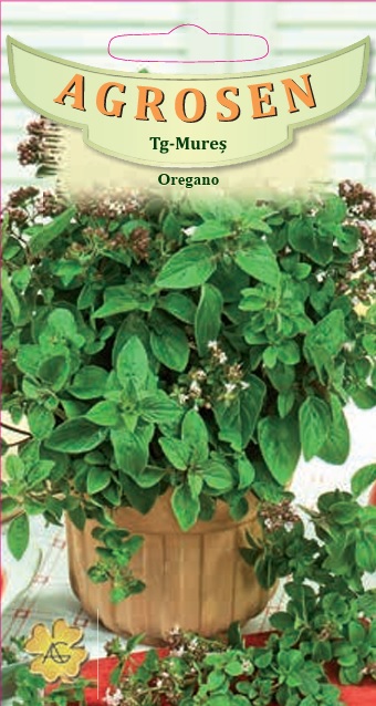 Oregano