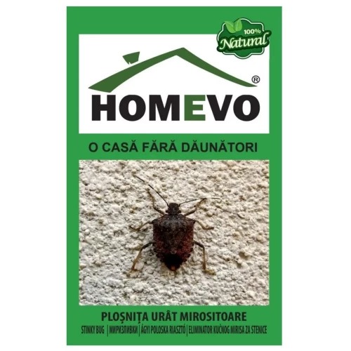 Plosnita urat mirositoare - HOMEVO