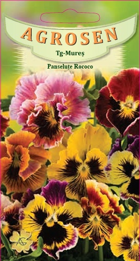 Panseluţe rococo