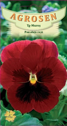 Panseluţe roşii