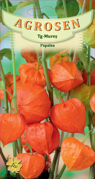 Păpălău