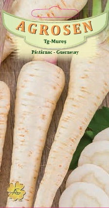 Păstârnac - Guernesay