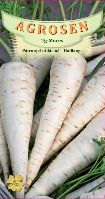 Pătrunjel rădăcină-Halflange