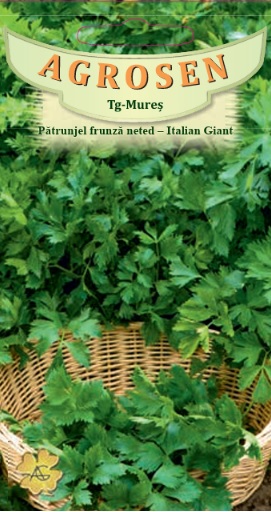 Pătrunjel frunză neted - Italian Giant