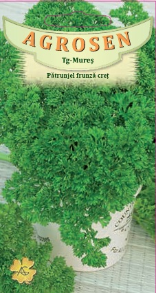 Pătrunjel frunză creţ