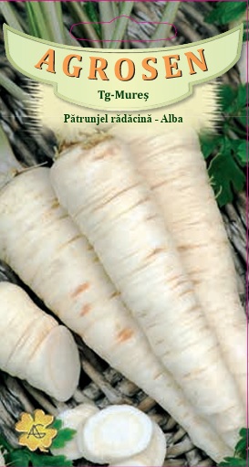 Pătrunjel rădăcină -Alba