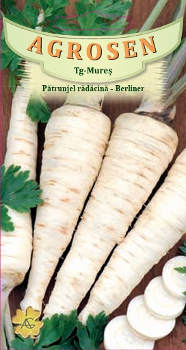 Pătrunjel rădăcină - Berliner