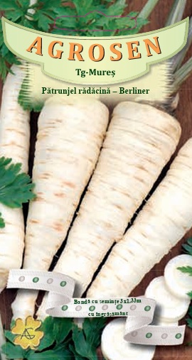 Banda-Patrunjel Radacina Berliner