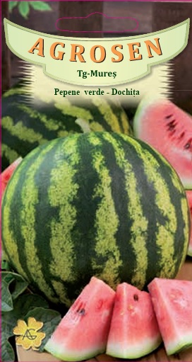 Pepene verde-Dochiţa