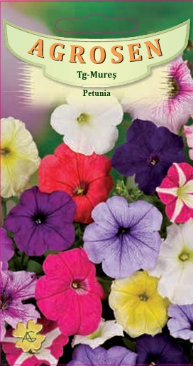 Petunia mix