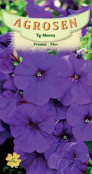 Petunia mov