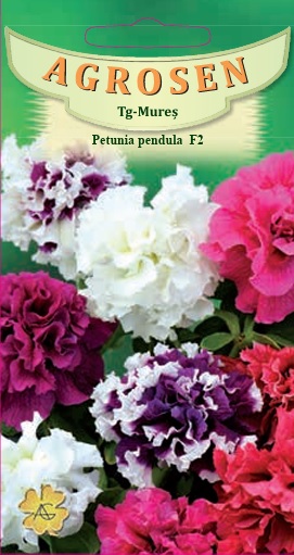 Petunia curgătoare pendula polka F2