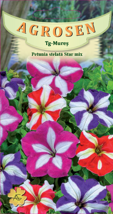 Petunia stelată - mix