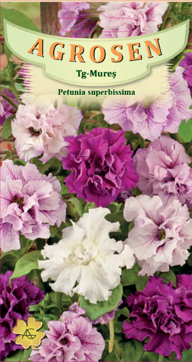 Petunia superbissima F1