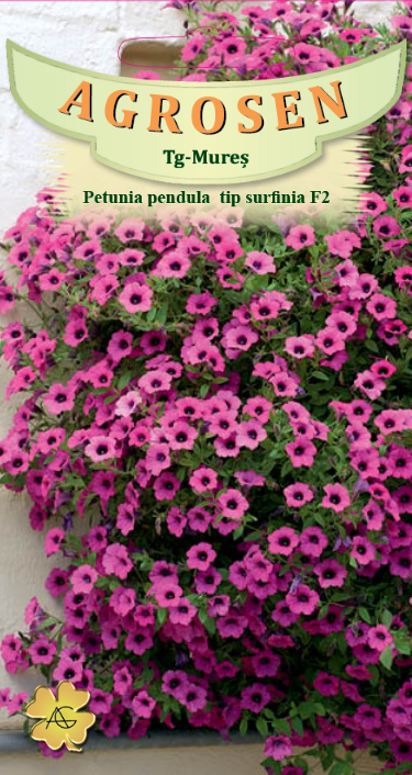 Petunia curgătoare surfinia rubina F2
