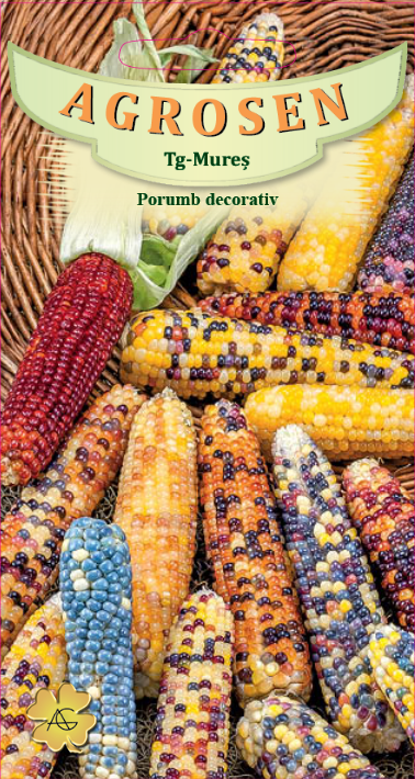Porumb decorativ