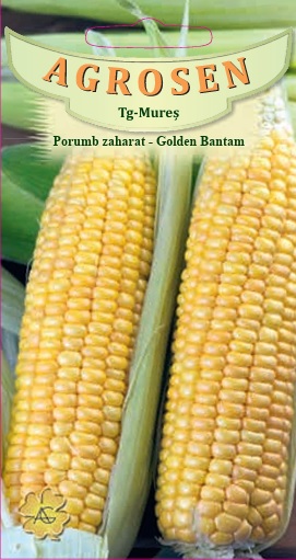 Porumb zaharat - Golden Bantam