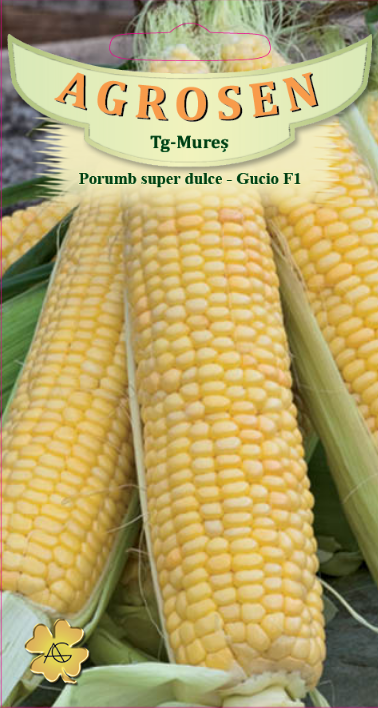 Porumb super dulce -Gucio F1