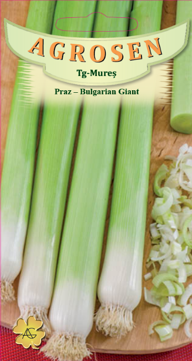 Praz -Bulgarian Giant