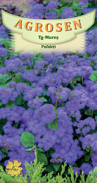 Pufuleți albaștri