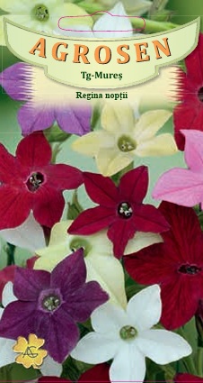 Regina nopţii - mix