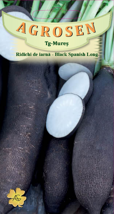 Ridichi de iarnă -Black Spanish Long