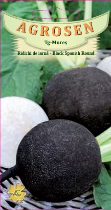Ridichi de iarnă - Black Spanish Round