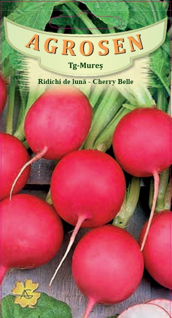 Ridichi de lună - Cherry Belle
