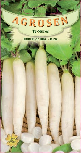 Ridichi de lună - Icicle