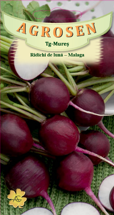 Ridichi de lună -Malaga