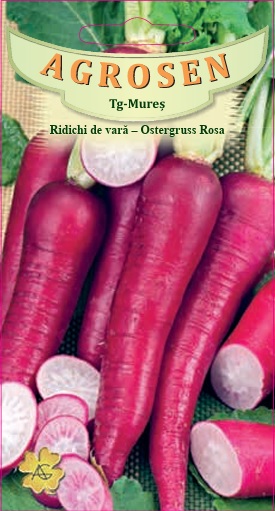 Ridichi de vară - Ostergruss Rosa