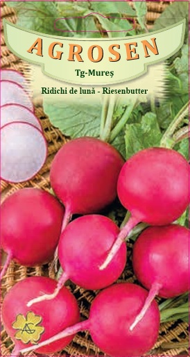 Ridichi de lună - Riesenbutter