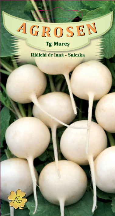 Ridichi de lună -Sniezka