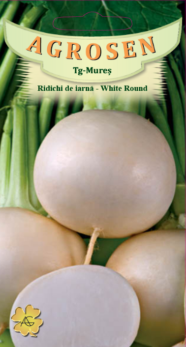 Ridichi de iarnă-White Round