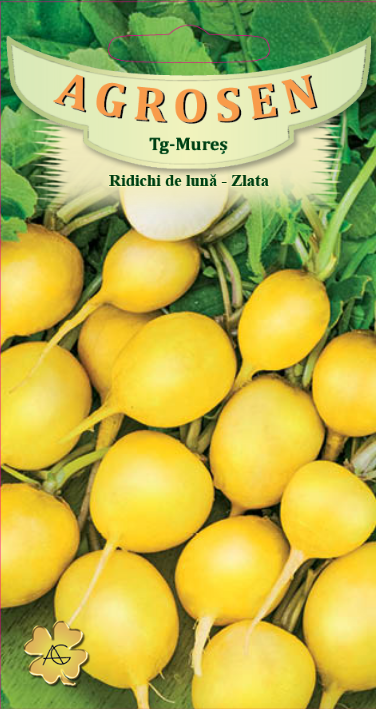 Ridichi de lună - Zlata