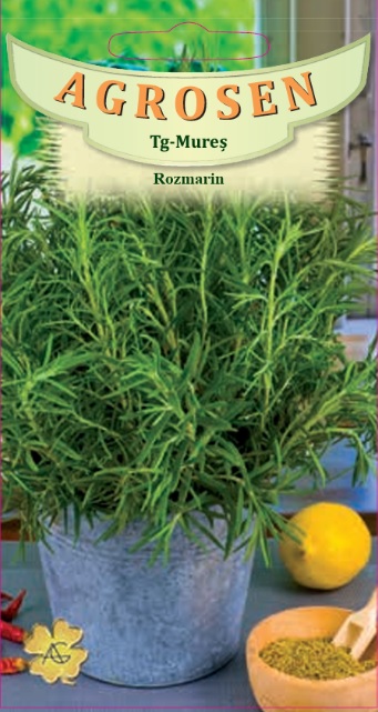 Rozmarin