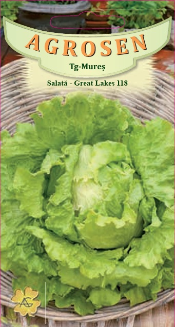 Salată iceberg - Great Lakes 118